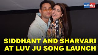 Siddhant Chaturvedi and Sharvari Wagh at Luv Ju song launch [upl. by Averell601]