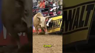 The BULLFIGHTERS World westernsports rodeowrecks rodeo pbr bullfighters bullriding [upl. by Alaine]