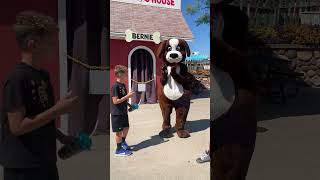 Big Dawgs at Adventureland Park shortsvideos shorts [upl. by Llednol]