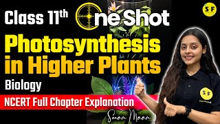 PHOTOSYNTHESIS IN HIGHER PLANTS ONE SHOT  CLASS 11 BIOLOGY NCERT EXPLANATION WITH SONAM MAAM [upl. by Pricilla594]