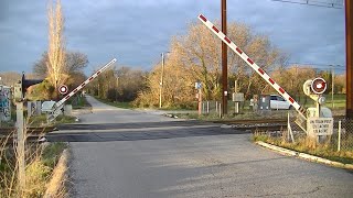 Spoorwegovergang Grans F  Railroad crossing  Passage à niveau [upl. by Dustin267]