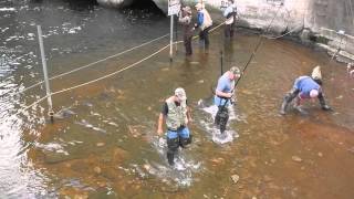 Salmon Snagging Oak Orchard Dam [upl. by Aramahs]