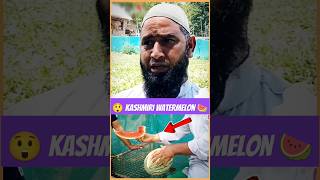 Kashmiri Watermelon 🍉 Anantnag viral video  Kashmiri farmers  Shorts  Kashmir life  Youth Power [upl. by Aridaj]