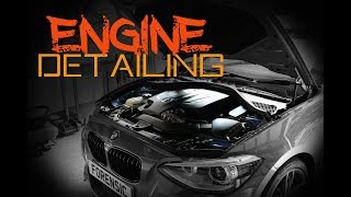 How to safely clean your engine bay  Engine bay detailing [upl. by Irby950]