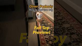 Ollie previews his Fall 2024 toys [upl. by Eversole]