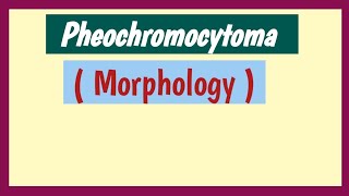 Pheochromocytoma Morphology [upl. by Cote27]