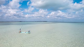 PESCA en aguas super cristalinas Soñaba con pescar esta especie  Expedicion Punta Allen [upl. by Ethbinium]