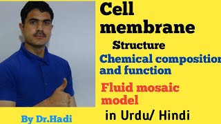 Cell Membrane Models structure composition and function lec8 in Urdu Hindi By Dr AHadi [upl. by Paolo]