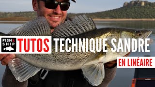 5 astuces pour pêcher le sandre en été [upl. by Hersh317]