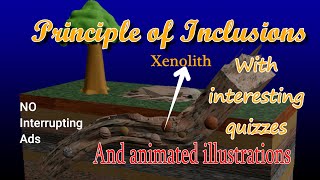 Principle of inclusions Xenolith Xenocryst magma intrusion incomplete digestion geology quiz [upl. by Allecram520]