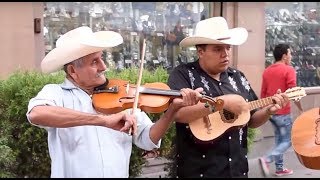 Trío Tordo Huasteco toca El Querreque en La Calle del Huapango en SLP [upl. by Nahshon]