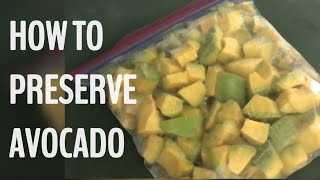 HOW TO PRESERVE AVOCADO [upl. by Enrev]