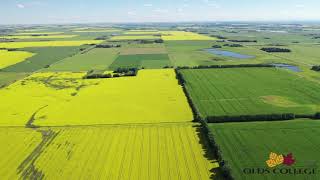 OLDS COLLEGE FIELDS on July 22 2020 Alberta Canada [upl. by Nelrsa]