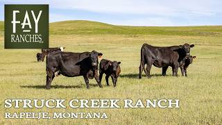 Montana Ranch For Sale  Struck Creek Ranch  Rapelje MT [upl. by Anbul]