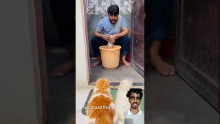 maalik ke bure din aa gye🤣😂 cat viralcat catvideo catcomedy [upl. by Nylekcaj161]