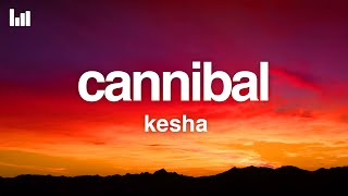 Kesha  Cannibal Lyrics [upl. by Modestine246]