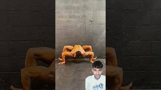 Man transforms into a real Spider 🕷️ in AGT Americas got talent 😱 Duo Schumacher agtmagic omg [upl. by Quartana]