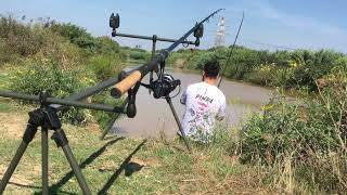 Jornada de carpfishing en el Rio Llobregat [upl. by Rawden]