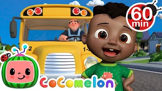 Wheels on the Bus  More  CoComelon  Its Cody Time  CoComelon Nursery Rhymes [upl. by Aitercal]