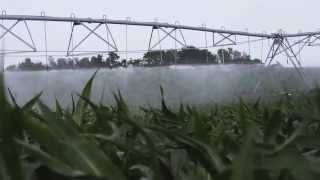 In Focus Center Pivot and Linear Irrigation  Valley Irrigation [upl. by Nyrat]