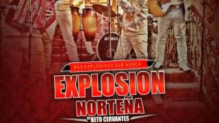 Explosion Norteño  El 61 En Vivo 2015 [upl. by Salokcin]