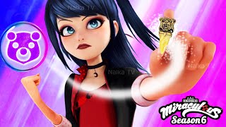 🔴LADY BEAR NEW TRANSFORMATIONS 🐞 LADYBUG AND CAT NOIR  MIRACULOUS 6 Fanmade [upl. by Dorkus]