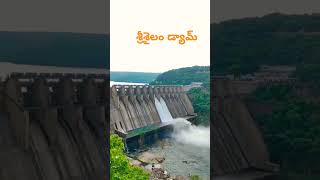 Srisailam Dam View  Srisailam Project Gates Lifted  Dileeptalks1 srisailam srisailamdam ap [upl. by Atiras]