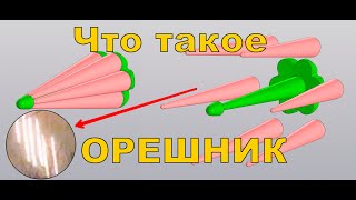 Технические особенности баллистической ракеты Орешник [upl. by Norted]