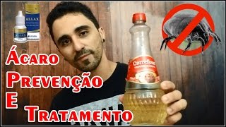 ÁCAROS PREVENÇÃO E TRATAMENTO [upl. by Evette]