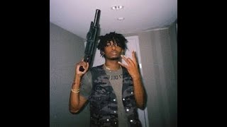 Playboi Carti  Immortal Unreleased [upl. by Nnaitsirhc986]