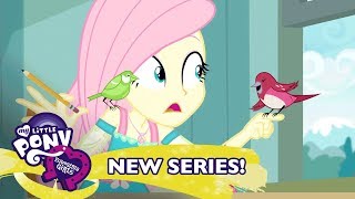 MLP Equestria Girls Temporada 1 Brasil  Um Passarinho Me Contou 🐦 Short Exclusivo [upl. by Yelsna]