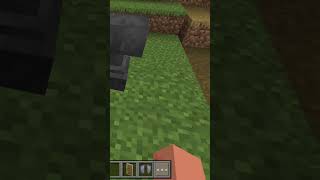 How to get in Minecraft elaitra enchant mending book in shales enchant mending book [upl. by Negam]