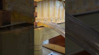 Finally harvesting honey from the Flow Hive Pt3 beekeeping bees flowhive honey honeyharvest [upl. by Ernald]