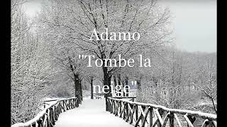 Adamo  Tombe la Neige  for 2 Guitars [upl. by Nata]