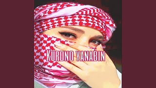 Kurdish tırap kurdno yanabin [upl. by Maurizio]