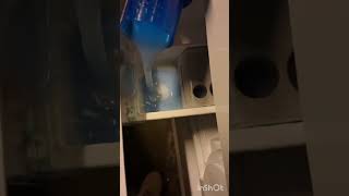 Handdoeken wasje 50 graden 1400 toeren shorts asmr wasmachine [upl. by Uzzial]