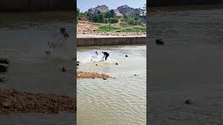 Epic Challenge Catching Giant Fish with Nets at the Hydroelectric Dam [upl. by Senzer]