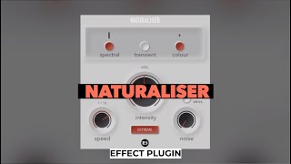 Naturaliser  Effect VST Plugin by Rast Sound [upl. by Nalyk]