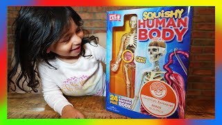 SQUISHY Human Body Skeleton Toy Review  educational toys for kids episode 47 [upl. by Zucker137]