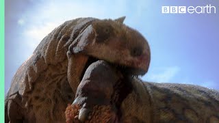 Dinosaur Cannibalism  Planet Dinosaur  BBC [upl. by Ramraj]