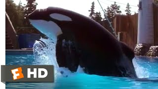 Free Willy 1993  A Very Special Case Scene 210  Movieclips [upl. by Plotkin]