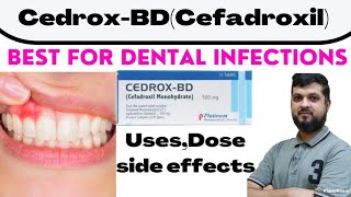 CedroxBD tabletsCefadroxil for Dental InfectionsURTIs Uses lDose l Side effects [upl. by Yralam373]