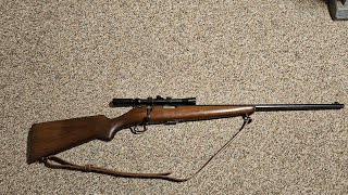 Savage 23AA Sporter Bolt action 22lr Rifle [upl. by Yenffad]