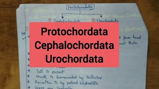 ProtochordataCephalochordata Urochordata [upl. by Cherry]