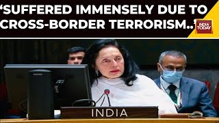 We Have Suffered Immensely Due To Cross Border Terrorism amp Violence Ruchira Kamboj At UN Meet [upl. by Jarred]