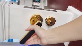 Biometric Fingerprint Smart Door Lock [upl. by Nehtan]