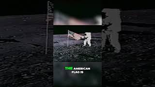 Uncovering Apollo 11 Are Lunar Photos Manipulated [upl. by Mauri]