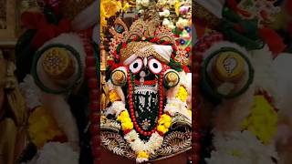 Jagannath solak🙏odiabhajan jagannthbhajan [upl. by Ambrosi]