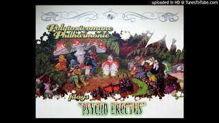 Polytoxicomane Philharmonie Plays Psycho Erectus ► Flight 858 HQ Audio 2003 [upl. by Aundrea978]