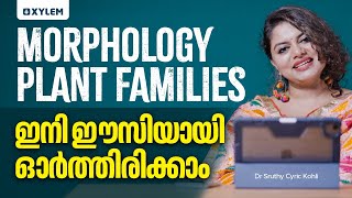 Morphology Plant Families ഇനി ഈസിയായി ഓർത്തിരിക്കാം  Xylem NEET [upl. by Nehgem704]